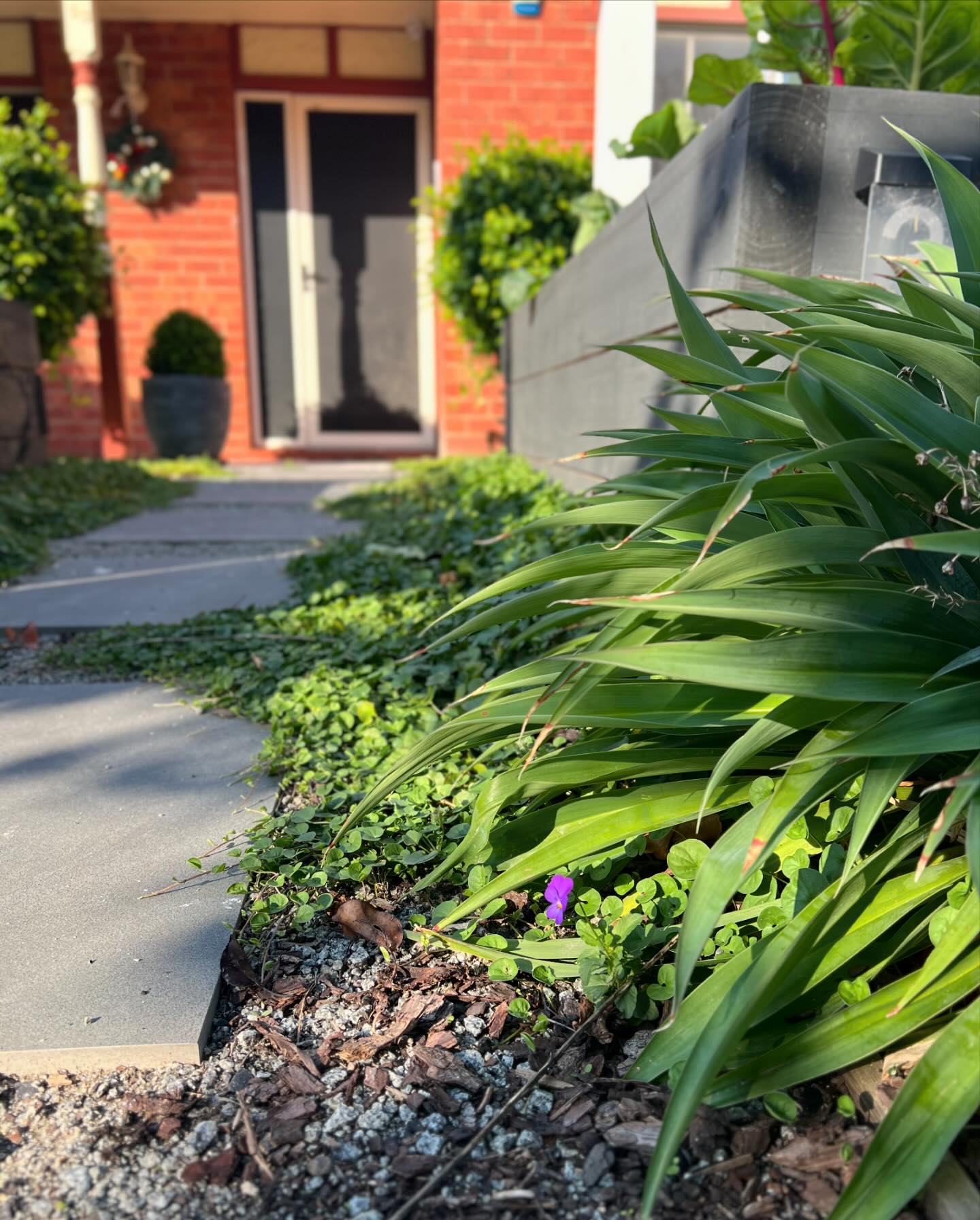 Front Garden Designs That Bring Simplicity to Your Aussie Home - Create a Welcoming Entrance with Minimal Fuss