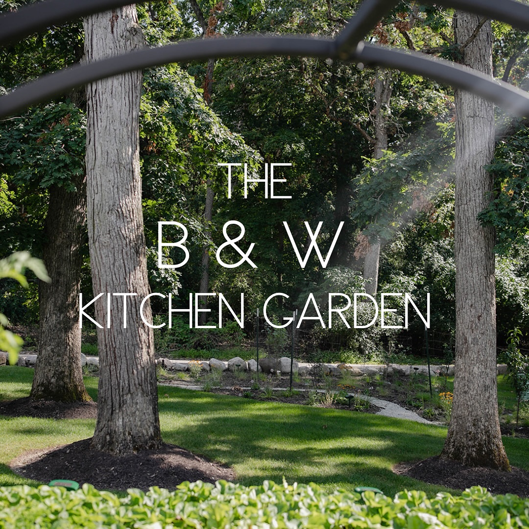 Modern Garden Aesthetics - Turning Green Spaces into Visual Masterpieces