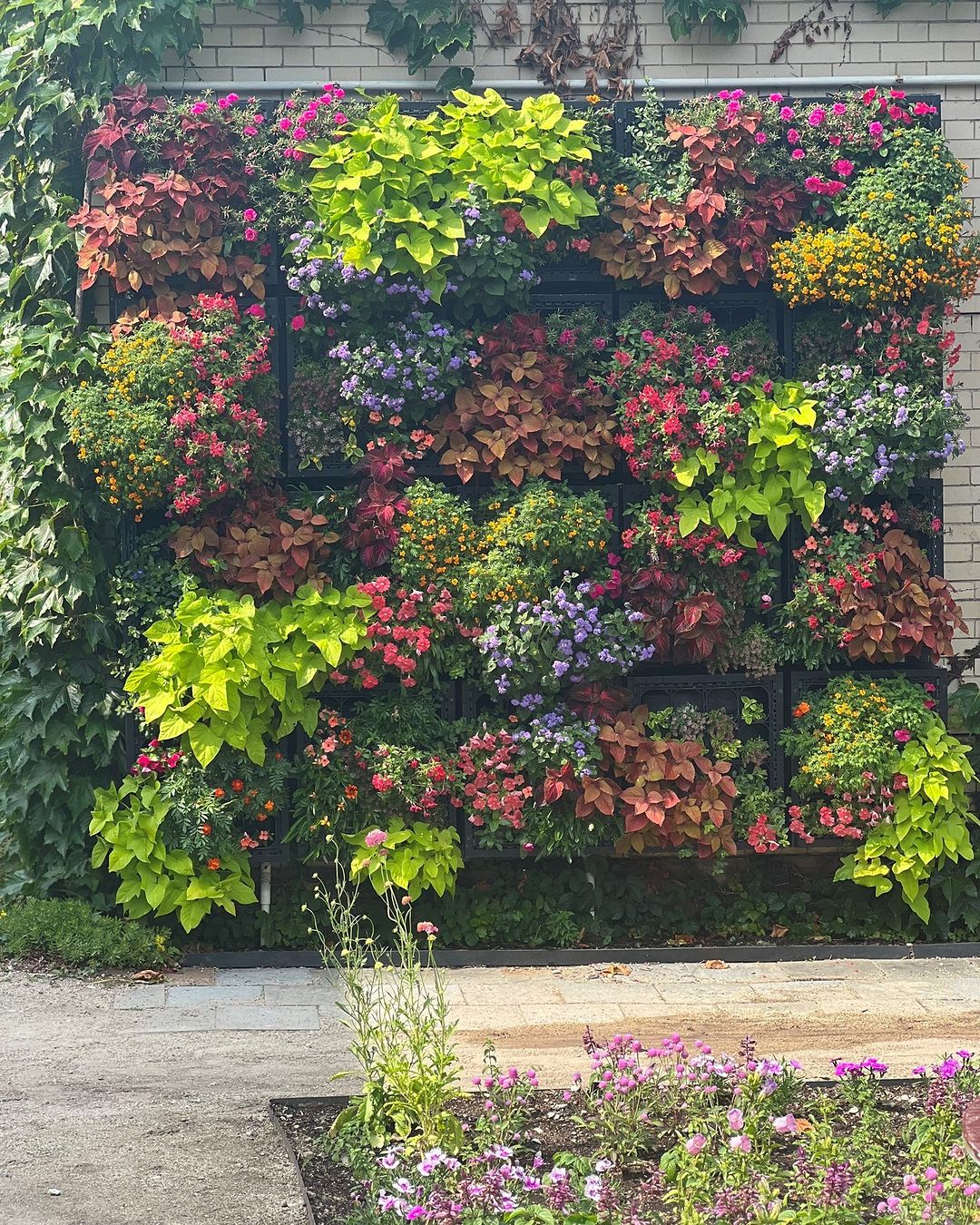 Blooming Vertical Gardens - Create Your Flower Wall Oasis