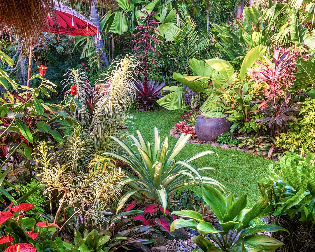 Revamp Your Backyard with Aussie Blooms - Dive Into Native Flower Elegance