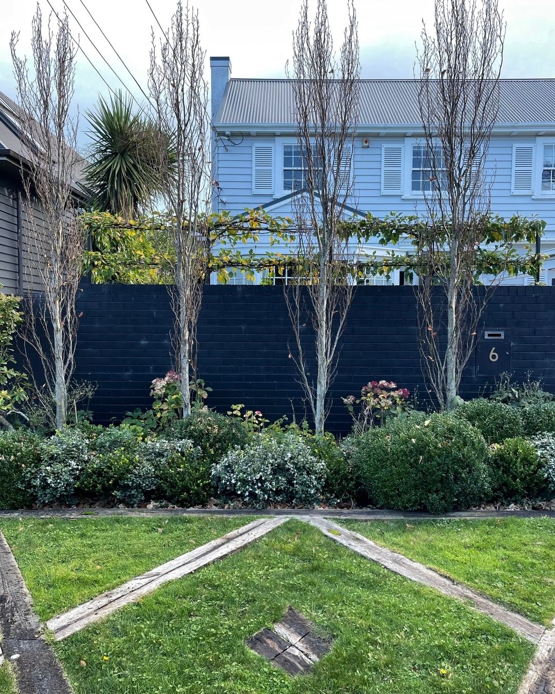 Revamp Your Grey Fence with Lush Greenery - Creative Ways to Brighten Up Your Garden