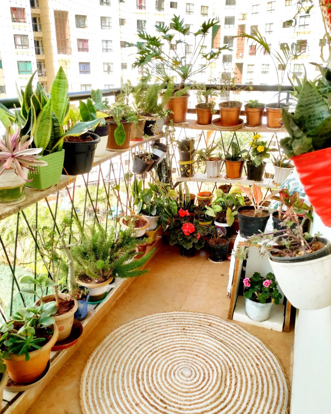 Cozy Green Corners - Breathing Life into Your Apartment Balcony