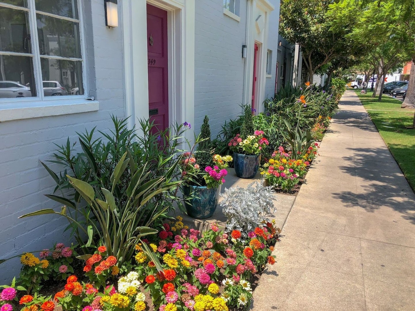 Boost Your Curb Appeal - Small-Scale Front Garden Inspirations for Apartment Living