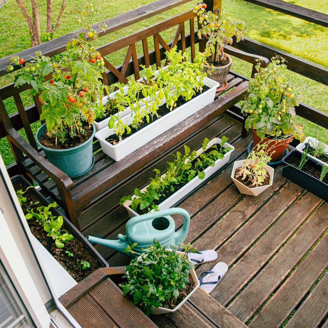 From Balcony to Bounty - Simple Steps to Your Own Apartment Veggie Paradise