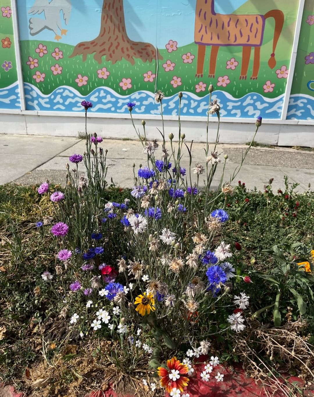 Blossoms and Budding Minds - Sparking Curiosity Through Flower Garden Fun