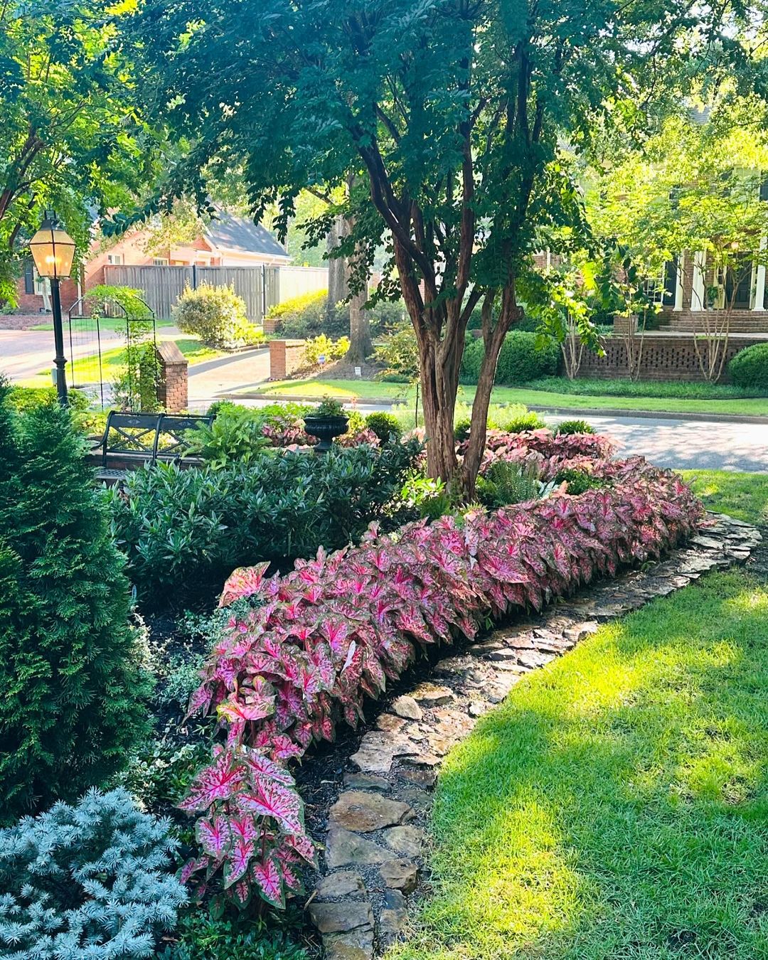 Crafting a Cool Oasis - Turning Shade into Your Garden's Best Asset