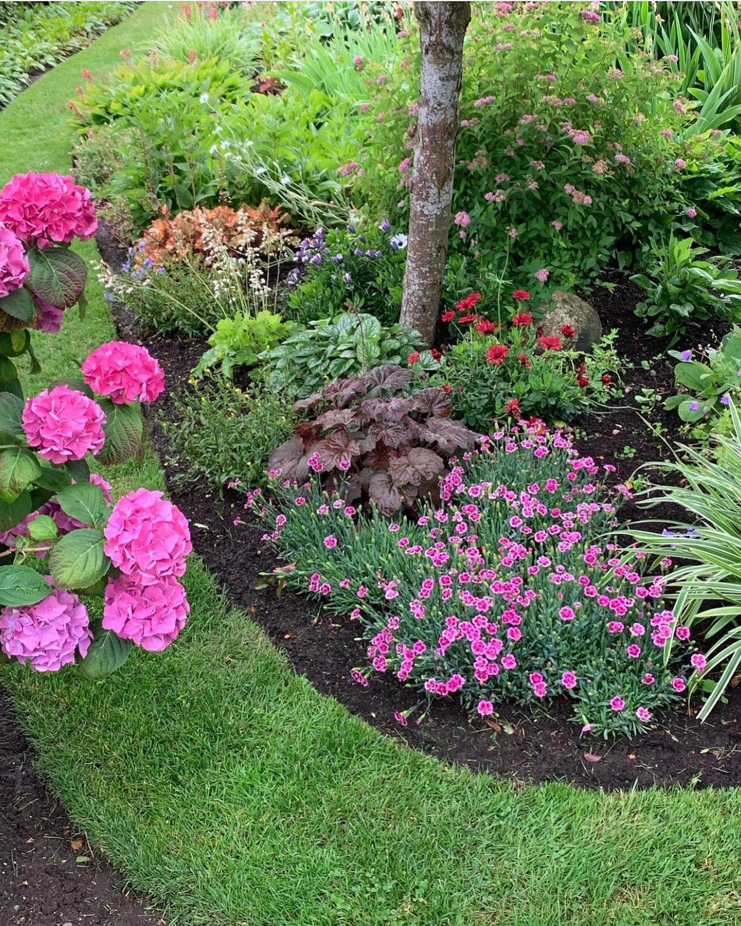 Red Mulch Magic - Elevate Your Garden Bed Style