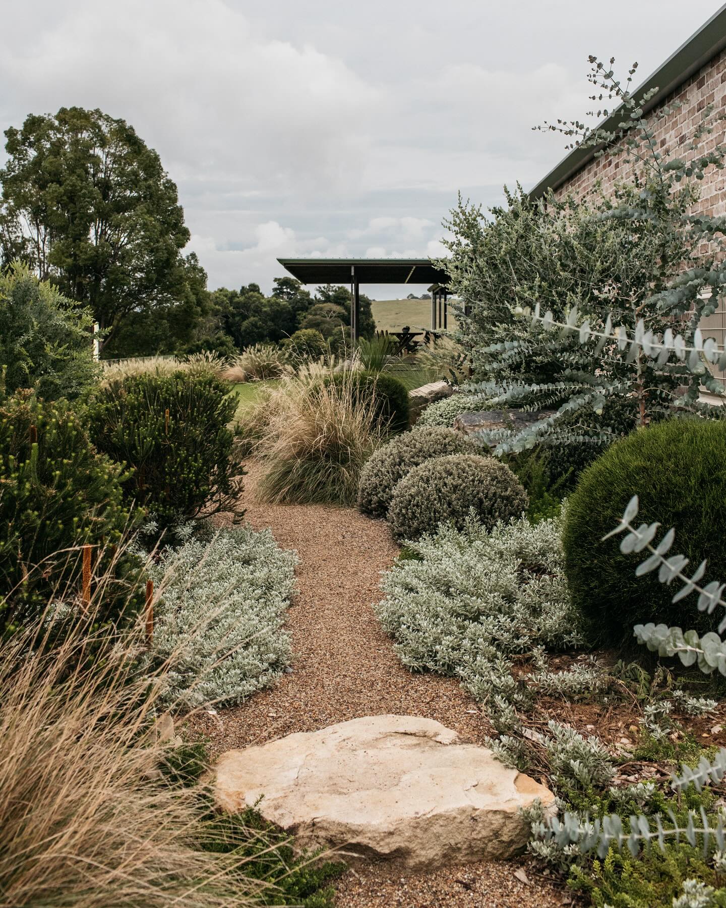 Creating a Bushland Oasis in Your Front Yard - Embrace the Natural Beauty of Native Australian Plants