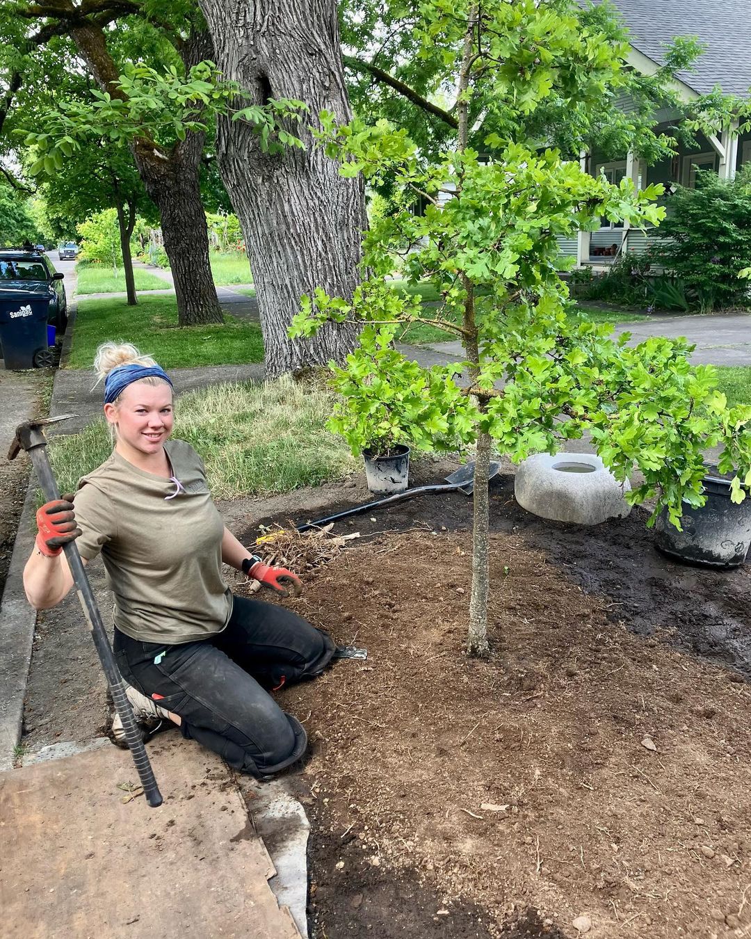 Big Ideas for a Big Tree - Creative Garden Inspirations